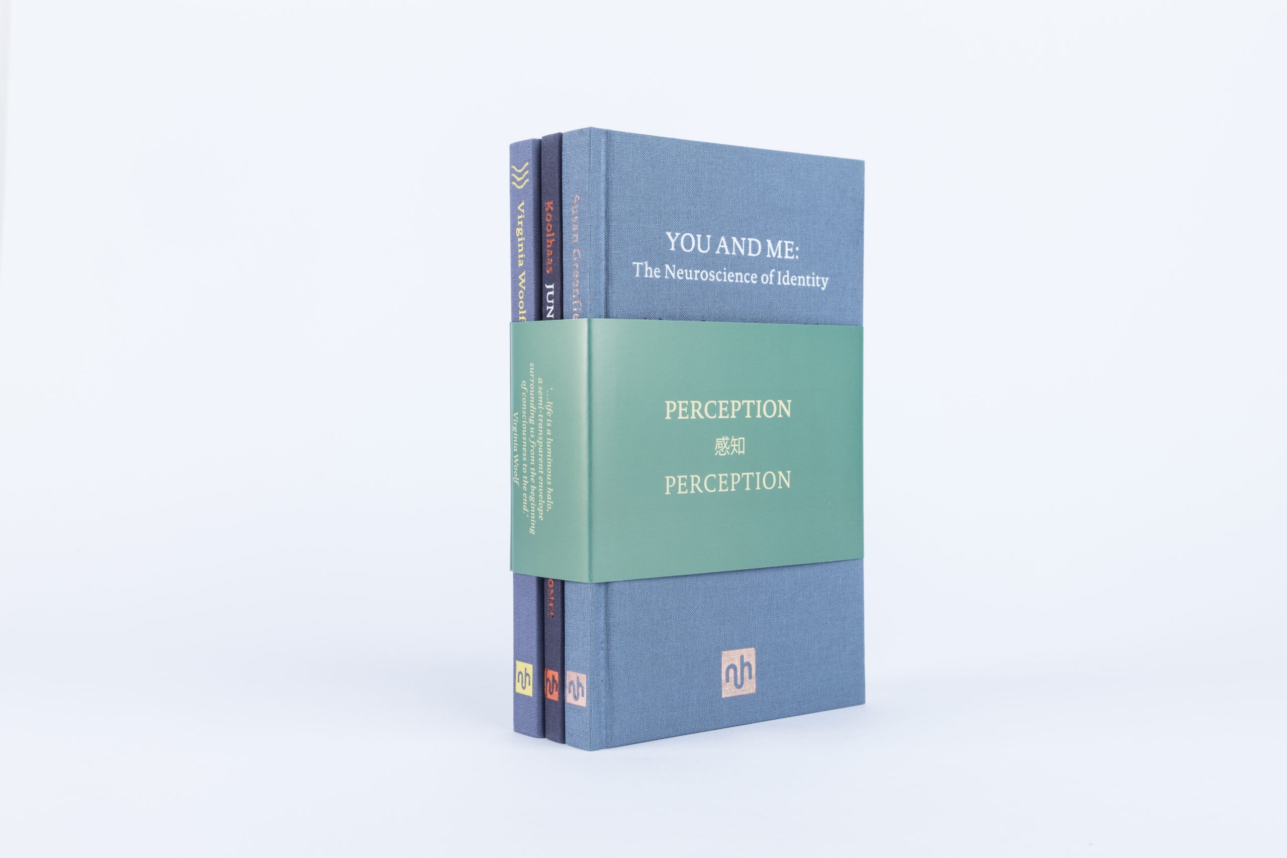 COLLECTION - PERCEPTION - 3-book-standing-2